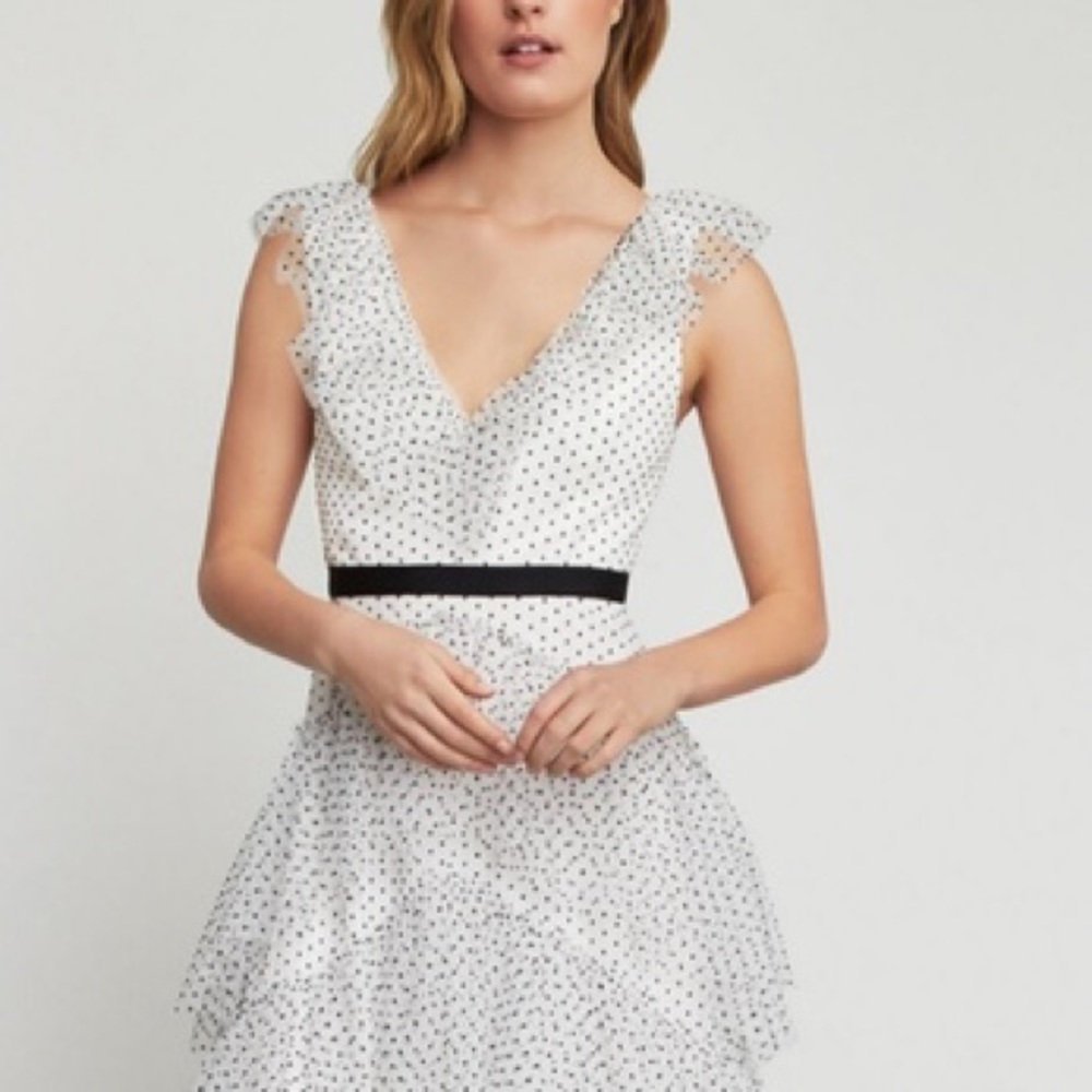 BCBGMAXAZRIA Women's Dot Ruffle Tulle Gown